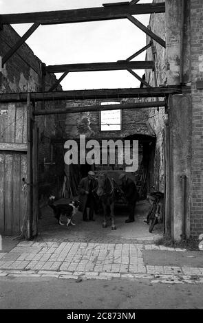 AJAXNETPHOTO. SEPTEMBER 1969. PORTSMOUTH, ENGLAND. - AUSGEDRÄNGT - IN DER SUSSEX STRASSE; LETZTE BILDER DER TOTTER UND IHRER STÄLLE IN DER SUSSEX STRASSE, BEVOR DIE GEBÄUDE ABGERISSEN WURDEN. DAS PFERD UND DEN WAGEN HOCHFAHREN.FOTO:JONATHAN EASTLAND/AJAX REF:356950 51 202206 47 Stockfoto