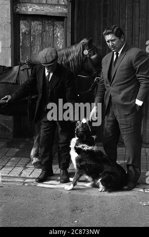 AJAXNETPHOTO. SEPTEMBER 1969. PORTSMOUTH, ENGLAND. - AUSGEDRÄNGT - IN DER SUSSEX STRASSE; LETZTE BILDER DER TOTTER UND IHRER STÄLLE IN DER SUSSEX STRASSE, BEVOR DIE GEBÄUDE ABGERISSEN WURDEN. FOTO: JONATHAN EASTLAND/AJAX REF: 356950 51 202206 52 Stockfoto