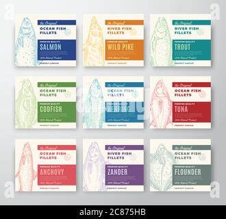 Premium-Qualität Fisch Filets Labels Collection. Abstrakt Vektor Fisch Verpackung Design oder Karten. Moderne Typografie und handgezeichnete Fische Silhouette Stock Vektor