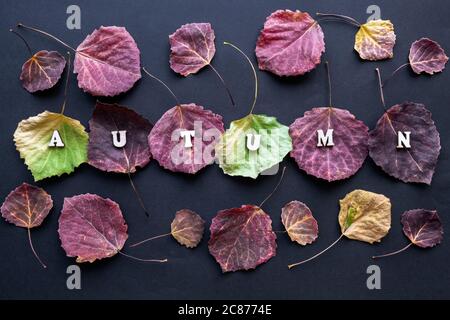 Helle bunte Herbstblätter und das Wort Herbst auf schwarzem Hintergrund. Saisonale Texturen mit Herbststimmung. Leerzeichen für Text. Stockfoto