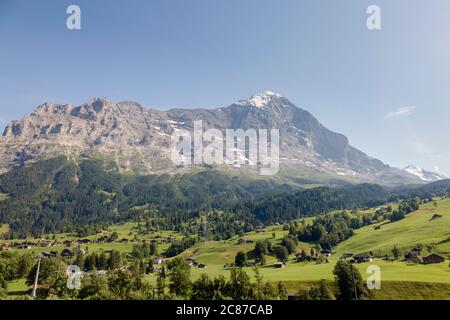 Grüne Schweizer Wiesen und die Nordwand des Eiger-Berges der Berner Alpen, Grindelwald, Schweiz Stockfoto