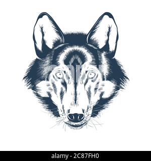 Porträt von Wolf Kopf auf weißem Hintergrund Stock Vektor