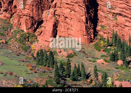 Blick auf den Djety-Oguz Canyon und das Gelände mit roten Sandsteinfelsen und Vegetation einschließlich Kiefern. Das Hotel liegt in Issyk Kul Region in Kirgisistan. Stockfoto