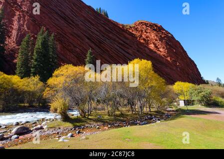 Fluss in Jeti Oguz umgeben von Bäumen mit Blättern in Herbstfarben, Gras und Seven Bulls Rock Canyon. Djety-Oguz-Tal in Kirgisistan. Stockfoto