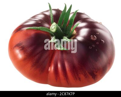 Blue Beauty Erbstück Tomate, reif mit Anthocyanin Schultern, isoliert Stockfoto