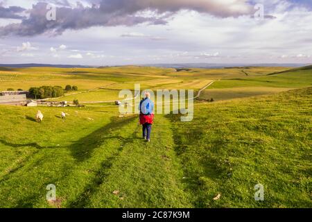 Weibliche Bergwandererin in blau gekleidet, die zurück nach Malham Tarn in den Yorkshire Dales geht Stockfoto