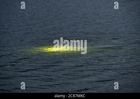 Waldeck, Deutschland. Juli 2020. Ein letztes Licht der Nachttaucher scheint unter der Oberfläche des Edersee. Tief, grün und dunkel - das Tauchen im nordhessischen Stausee ist schon tagsüber ein Abenteuer. Aber wenn Sie den See von einer neuen Seite kennenlernen wollen, steigen Sie nachts ein. (Zur Sommerserie 'Night Shift' - 'im Dunkeln in die Tiefe - Nachttauchen am Edersee') Quelle: Uwe Zucchi/dpa/Alamy Live News Stockfoto