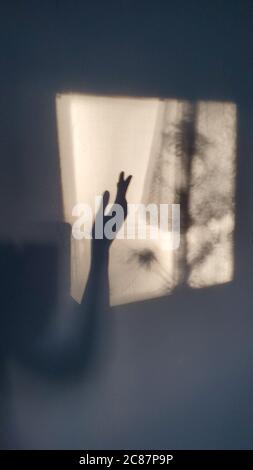 Verschwommene elegante weibliche Hand Silhouette von Schatten an der Wand. Subtile sepiafarbene Komposition, die durch Sonnenlicht und Schatten in Formen von Unschärfe-Frauen geschaffen wird Stockfoto