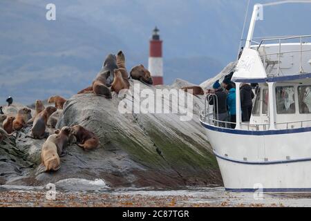 Seelöwen und Touristenboot, Leuchtturm Les Eclaireurs, Beagle-Kanal, Ushuaia, Argentinien 24. März 2018 Stockfoto