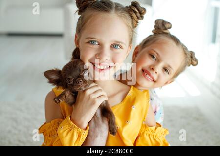 Kind mit Hund. Kleine Mädchen spielen mit einem Hund auf dem Teppich zu Hause. Stockfoto