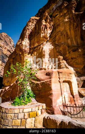 Frische grüne Landschaft auf der geschnitzten Klippe aus Sandsteinfelsen in Petra, Jordanien Stockfoto