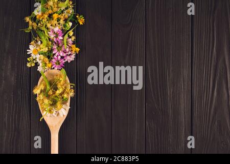 Lindenblumen und Blätter, Kamille, Klee und Hypericum in Holzlöffel - auf natürlichem schwarzen Holzhintergrund, mit Texthintergrund. Vorbereitung Stockfoto