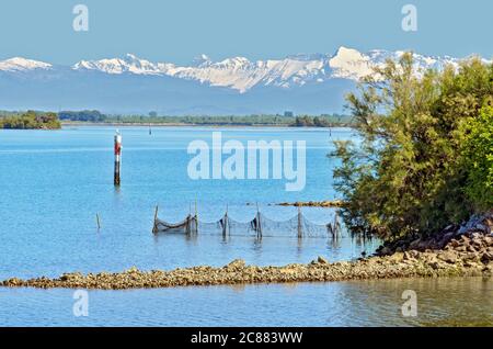 Lagune von Grado mit Fischernetzen im Vordergrund und die schneebedeckten Berge der karnischen alpen am Horizont, Italien Stockfoto