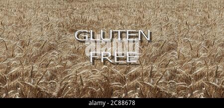 Glutenfreie Diät Konzept. Text glutenfrei auf Weizenfeld Hintergrund. Stockfoto