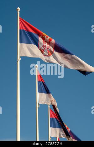 Flaggen der Republik Serbien gegen den klaren blauen Himmel Stockfoto