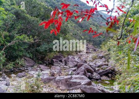 Der Blick auf die Wanderstraße zwischen Sai Kung East Country Park in Hong Kong Stockfoto