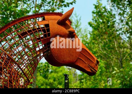 Matakana, Neuseeland - Dez 2019: Skulpturenpark. Eigenartige moderne Skulptur aus rostigen Draht und einige Metallteile, die ein Pferd Stockfoto