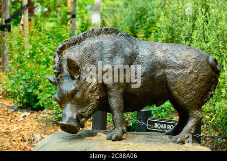 Matakana, Neuseeland - Dez 2019: Skulpturenpark. Bronze-Skulptur in Originalgröße, die ein Wildschwein darstellt. Stockfoto