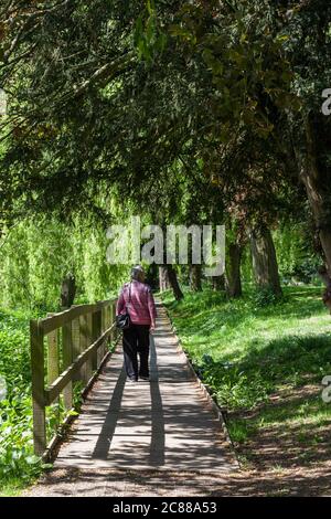 Rückansicht einer älteren Frau, die durch das strahlende Sonnenlicht entlang einer Holzpromenade geht, Großbritannien Stockfoto