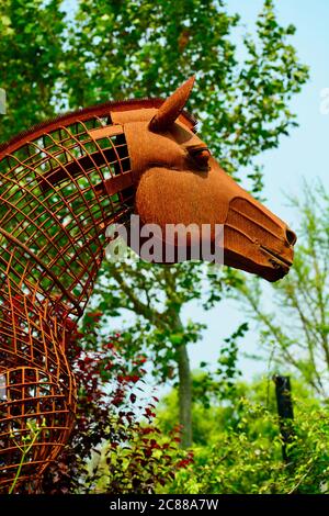 Matakana, Neuseeland - Dez 2019: Skulpturenpark. Eigenartige moderne Skulptur aus rostigen Draht und einige Metallteile, die ein Pferd Stockfoto