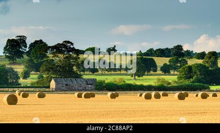 Landschaftlich reizvolle Landschaft (Strohballen im Farmfeld nach der Weizenernte, rustikale Holzscheune & Sonnenlicht auf grünen Feldern) - North Yorkshire, England. Stockfoto