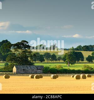 Landschaftlich reizvolle Landschaft (Strohballen im Farmfeld nach der Weizenernte, rustikale Holzscheune & Sonnenlicht auf grünen Feldern) - North Yorkshire, England. Stockfoto