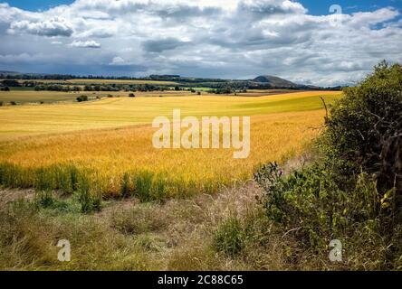 East Lothian Countryside mit Traprain Law in the Distance, Schottland, Großbritannien. Stockfoto