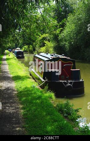 Schmale Boote, die auf dem Grand Union Canal bei Bletchley festgemacht sind Stockfoto