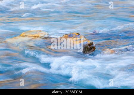 Steine im fließenden Fluss Stockfoto