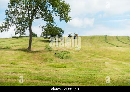 Landwirt sammeln Gras für Silage, Somerset, England, Großbritannien. Stockfoto