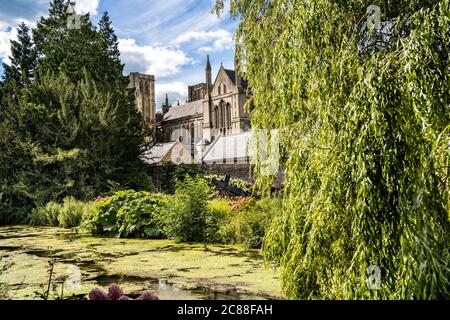 Blick auf die Kathedrale von Wells aus dem Bishop's Garden Stockfoto