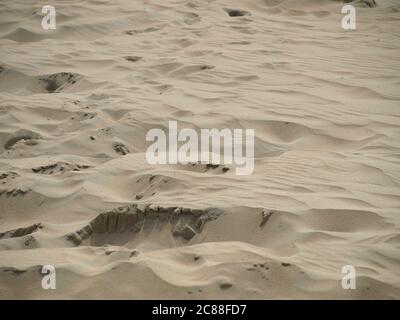Sand am Strand von Katwijk. Selektiver Fokus auf den Vordergrund Stockfoto