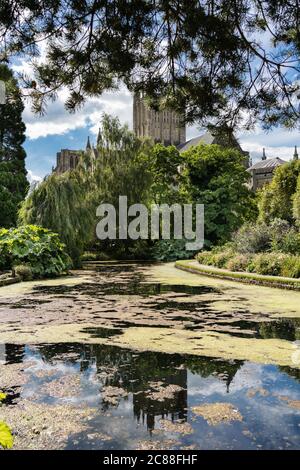 Blick auf die Kathedrale von Wells aus dem Bishop's Garden Stockfoto