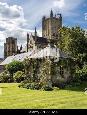 Blick auf die Kathedrale von Wells aus dem Bishop's Garden Stockfoto