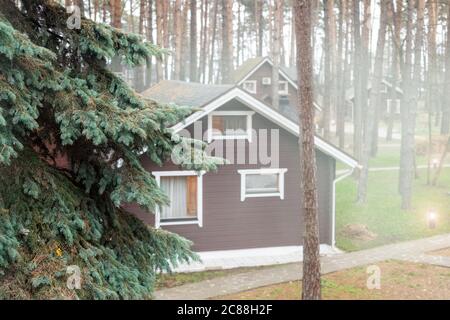 Grüne Fichtenbaum Zweig pov und vintage Retro Holzhaus Dorf in Morgennebel auf dem Hintergrund. Home Wohnsitz in Nadelbaum. Ruhige Natur Stockfoto