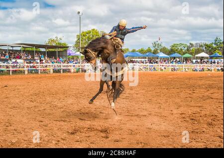 Sattel Bronc Reiter in Aktion bei Mt Granat Rodeo. Mt Granat, Queensland, Australien Stockfoto