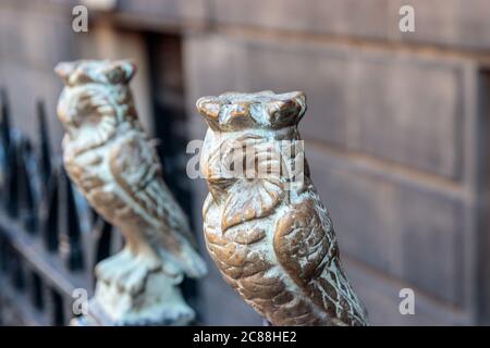 Blick auf Leeds Eulen-Skulpturen auf dem Geländer vor der Zentralbibliothek Stockfoto