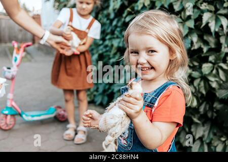 Ein Mädchen kümmert sich um die neu geborenen gelben Hühner in ihrem Hof. Kleine Farm und Streichelzoo Konzept Stockfoto