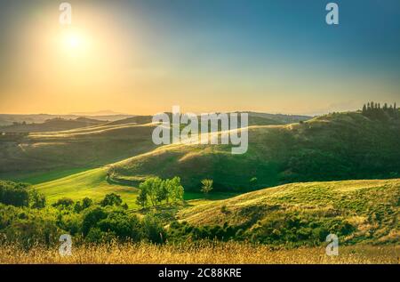 Certaldo canonica Park bei Sonnenuntergang. Sanfte Hügel Landschaft und Bäume. Florenz, Toskana, Italien Stockfoto