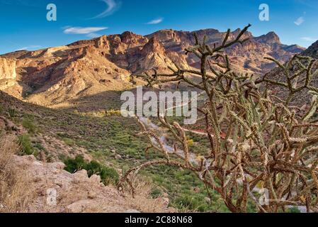 Cholla Kaktus mit Horse Mesa in Superstition Mountains vom Apache Trail aus gesehen im Fish Creek Canyon, Arizona, USA Stockfoto