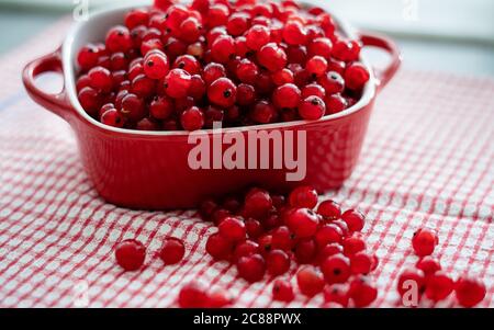 Frische rote Johannisbeeren in roter Schale auf rotem Tisch in der Küche. Natürlicher Hintergrund: Beeren einer roten Johannisbeere Stockfoto