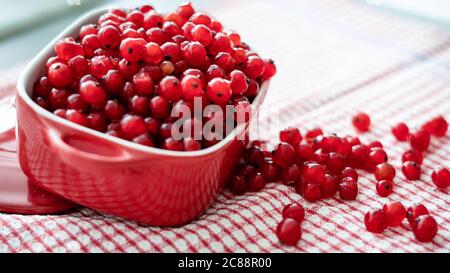 Frische rote Johannisbeeren in roter Schale auf rotem Tisch in der Küche. Natürlicher Hintergrund: Beeren einer roten Johannisbeere Stockfoto