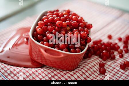 Frische rote Johannisbeeren in roter Schale auf rotem Tisch in der Küche. Natürlicher Hintergrund: Beeren einer roten Johannisbeere Stockfoto