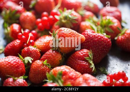 Erdbeeren und rote Johannisbeeren auf schwarzem Hintergrund Stockfoto