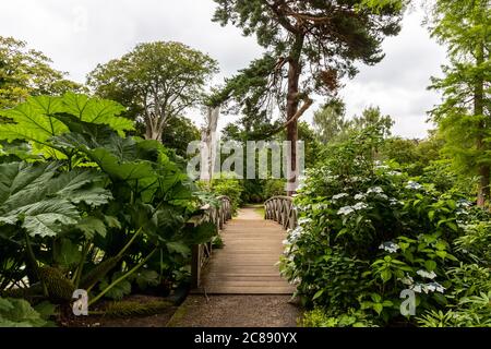Kleine dekorative Holzbrücke in einem englischen Park in Cheshire. Stockfoto