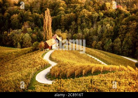 Berühmte herzförmige Weinstraße in Slowenien, Ansicht von Spicnik in der Nähe von Maribor. Natürliche Landschaft landwirtschaftlichen Hintergrund. Stockfoto