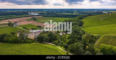 Luftaufnahme, Sonnenuntergangslandschaft, Bordeaux-Weinberg, Langoiran, Gironde, Frankreich Stockfoto