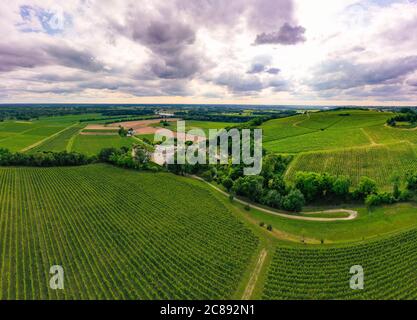 Luftaufnahme, Sonnenuntergangslandschaft, Bordeaux-Weinberg, Langoiran, Gironde, Frankreich Stockfoto