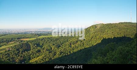 Panoramablick vom Leopoldsberg über die Hügel des Wienerwaldes mit Kahlenberg und der Stadt am Morgen. Stockfoto