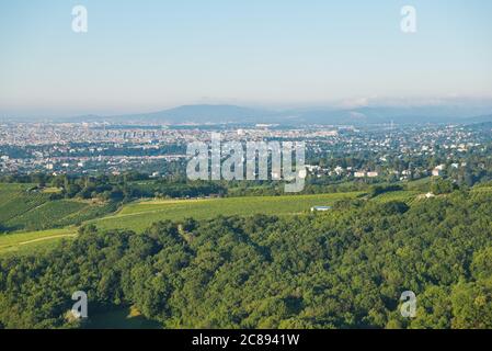 Am Morgen Blick vom Leopoldsberg über die Hügel des Wienerwaldes und die Stadt. Stockfoto